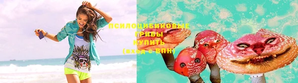 хмурый Горно-Алтайск