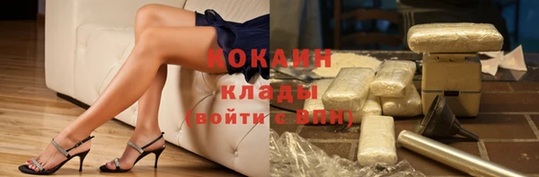 прущие грибы Горнозаводск