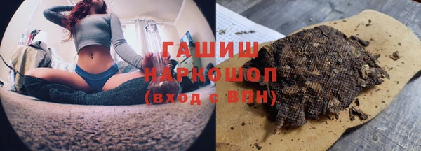 прущие грибы Горнозаводск