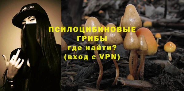 прущие грибы Горнозаводск
