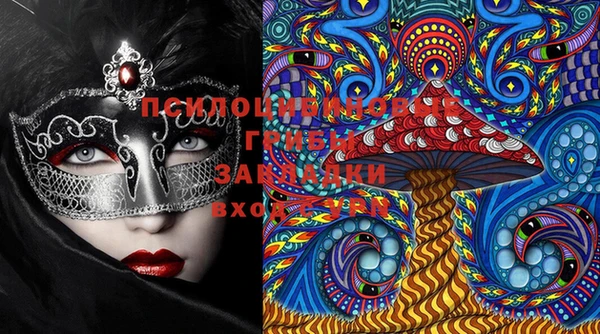 стафф Кущёвская